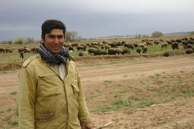 Der Hirt mit seiner Herde