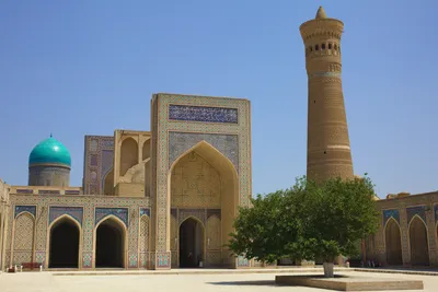 Kalyan Moschee tags: Weltreise Minarett