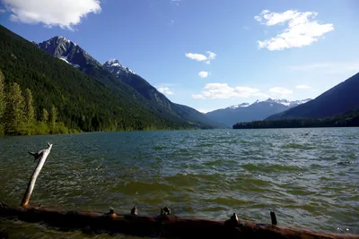 Camping am Birkenhead Lake